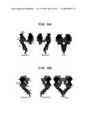 ERBB INTERFACE PEPTIDOMIMETICS AND METHODS OF USE THEREOF diagram and image