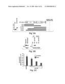 ANTI-INFLAMMATORY COMPOUNDS AND USES THEREOF diagram and image