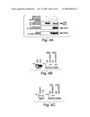 ANTI-INFLAMMATORY COMPOUNDS AND USES THEREOF diagram and image