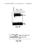 ANTI-INFLAMMATORY COMPOUNDS AND USES THEREOF diagram and image