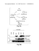 ANTI-INFLAMMATORY COMPOUNDS AND USES THEREOF diagram and image