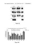 MODULATION OF INSULIN LIKE GROWTH FACTOR I RECEPTOR EXPRESSION diagram and image