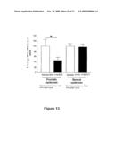 MODULATION OF INSULIN LIKE GROWTH FACTOR I RECEPTOR EXPRESSION diagram and image