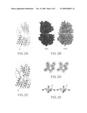 AI-2 compounds and analogs based on Salmonella typhimurium LsrB structure diagram and image