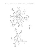 AI-2 compounds and analogs based on Salmonella typhimurium LsrB structure diagram and image