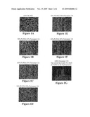 RESORBABLE POLYMER COMPOSITIONS FOR USE IN MEDICINE, DENTISTRY, AND SURGERY diagram and image