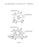 LIGAND-CONJUGATED MONOMERS diagram and image