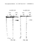 LIGAND-CONJUGATED MONOMERS diagram and image