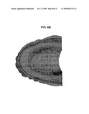 SYSTEM AND METHOD FOR MANUFACTURING FULL AND PARTIAL DENTURES diagram and image