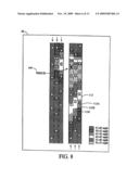 System for providing traffic information diagram and image