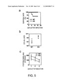 SGRF GENE-MODIFIED MOUSE diagram and image