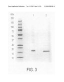 NOVEL PROTEIN AND PRODUCTION PROCESS AND USE THEREOF diagram and image