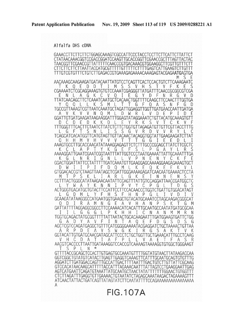 Polynucleotides Encoding Canola DHS and Antisense Polynucleotides Thereof - diagram, schematic, and image 114