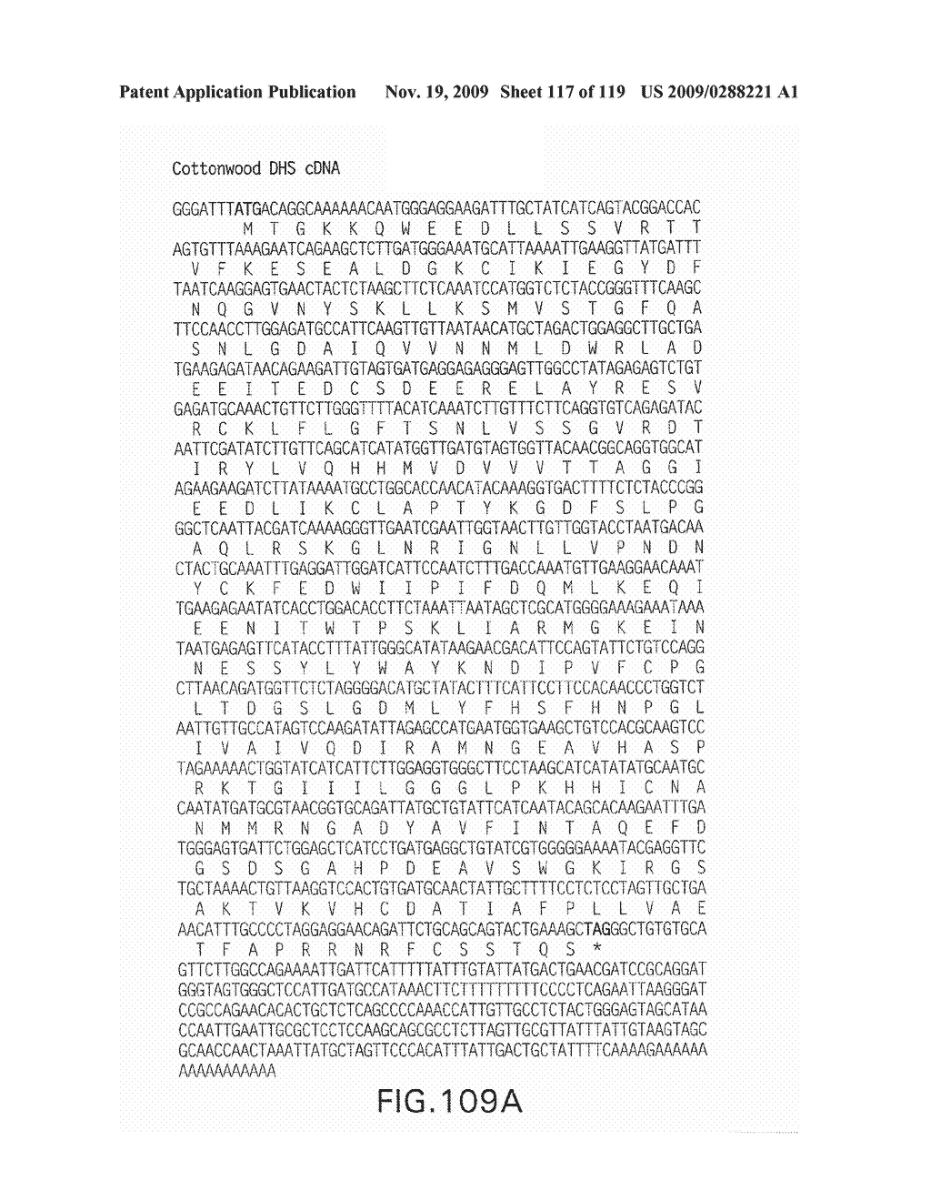 Polynucleotides Encoding Canola DHS and Antisense Polynucleotides Thereof - diagram, schematic, and image 118