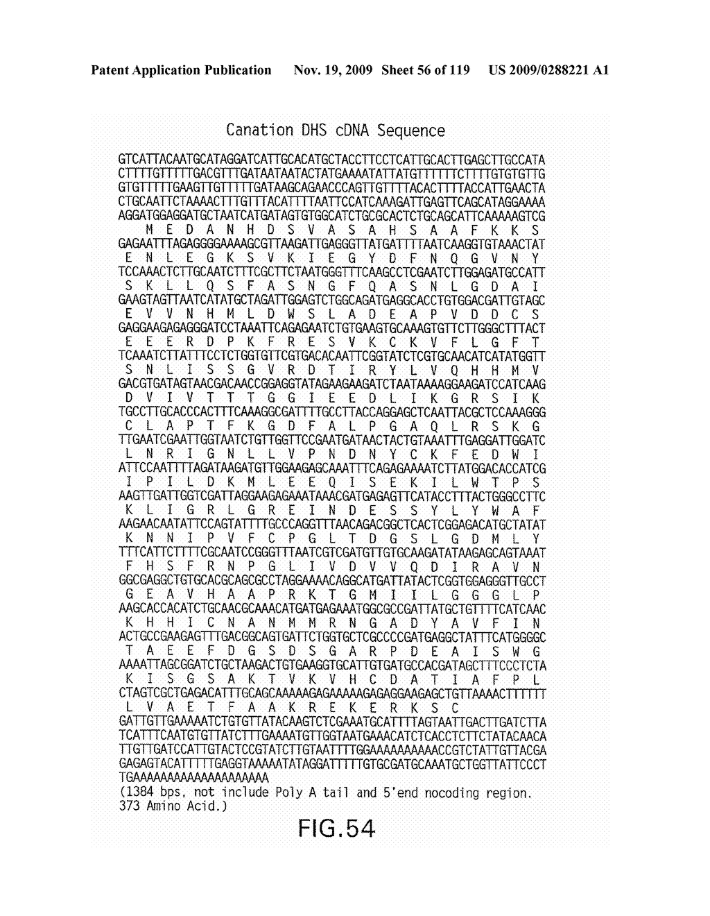 Polynucleotides Encoding Canola DHS and Antisense Polynucleotides Thereof - diagram, schematic, and image 57