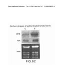 Polynucleotides Encoding Canola DHS and Antisense Polynucleotides Thereof diagram and image