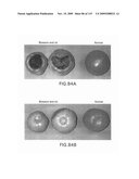 Polynucleotides Encoding Canola DHS and Antisense Polynucleotides Thereof diagram and image