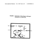 PROMOTER SEQUENCE OBTAINED FROM RICE AND METHODS OF USE diagram and image