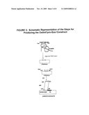 PROMOTER SEQUENCE OBTAINED FROM RICE AND METHODS OF USE diagram and image