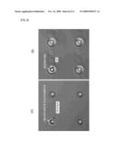 MOUNTING METHOD, MOUNTED STRUCTURE, MANUFACTUREING METHOD FOR ELECTRONIC EQUIPMENT, ELECTRONIC EQUIPMENT, MANUFACTURING METHOD FOR LIGHT-EMITTING DIODE DISPLAY, AND LIGHT-EMITTING DIODE DISPLAY diagram and image