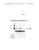 ANTI- IL-6 ANTIBODIES, COMPOSITIONS, METHODS AND USES diagram and image