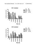 THERAPEUTIC COMBINATIONS OF ANTI-IGF-1R ANTIBODIES AND OTHER COMPOUNDS diagram and image