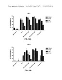 THERAPEUTIC COMBINATIONS OF ANTI-IGF-1R ANTIBODIES AND OTHER COMPOUNDS diagram and image