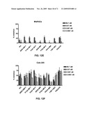 THERAPEUTIC COMBINATIONS OF ANTI-IGF-1R ANTIBODIES AND OTHER COMPOUNDS diagram and image