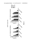 THERAPEUTIC COMBINATIONS OF ANTI-IGF-1R ANTIBODIES AND OTHER COMPOUNDS diagram and image