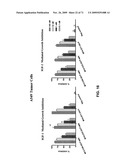 THERAPEUTIC COMBINATIONS OF ANTI-IGF-1R ANTIBODIES AND OTHER COMPOUNDS diagram and image