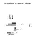 THERAPEUTIC COMBINATIONS OF ANTI-IGF-1R ANTIBODIES AND OTHER COMPOUNDS diagram and image