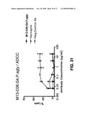 THERAPEUTIC COMBINATIONS OF ANTI-IGF-1R ANTIBODIES AND OTHER COMPOUNDS diagram and image