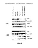 THERAPEUTIC COMBINATIONS OF ANTI-IGF-1R ANTIBODIES AND OTHER COMPOUNDS diagram and image