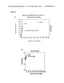 ANTI-CD33 ANTIBODIES AND METHOD FOR TREATMENT OF ACUTE MYELOID LEUKEMIA USING THE SAME diagram and image
