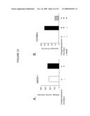 USE OF THE GLOBULAR DOMAIN OF ACRP30 FOR THE PREPARATION OF A MEDICAMENT FOR THE PREVENTION AND/OR TREATMENT OF THROMBOSIS-RELATED DISEASES diagram and image