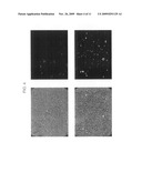 FORMULATION OF INSOLUBLE SMALL MOLECULE THERAPEUTICS IN LIPID-BASED CARRIERS diagram and image