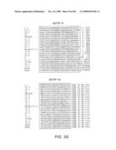 CATERPILLER GENE FAMILY diagram and image