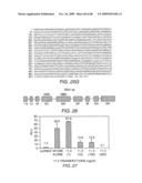 CATERPILLER GENE FAMILY diagram and image