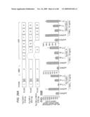 CATERPILLER GENE FAMILY diagram and image