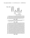 CATERPILLER GENE FAMILY diagram and image