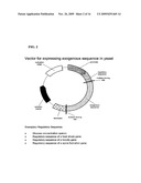 Compositions and Methods for Producing Fermentation Products and Residuals diagram and image