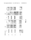 Control of radiation injury diagram and image