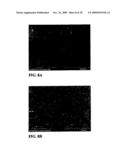 FIBROUS CALCIUM PYROPHOSPHATE PARTICLES AND METHODS OF MAKING AND USING SAME diagram and image