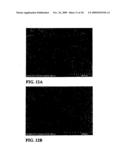 FIBROUS CALCIUM PYROPHOSPHATE PARTICLES AND METHODS OF MAKING AND USING SAME diagram and image