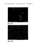 FIBROUS CALCIUM PYROPHOSPHATE PARTICLES AND METHODS OF MAKING AND USING SAME diagram and image