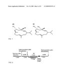 Neuronal circuit-dependent neuroprotection by interaction between nicotinic receptors diagram and image