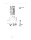 NUCLEOTIDE AND AMINO ACID SEQUENCES RELATING TO RESPIRATORY DISEASES AND OBESITY diagram and image