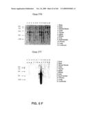 NUCLEOTIDE AND AMINO ACID SEQUENCES RELATING TO RESPIRATORY DISEASES AND OBESITY diagram and image