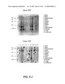 NUCLEOTIDE AND AMINO ACID SEQUENCES RELATING TO RESPIRATORY DISEASES AND OBESITY diagram and image