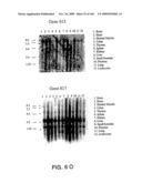 NUCLEOTIDE AND AMINO ACID SEQUENCES RELATING TO RESPIRATORY DISEASES AND OBESITY diagram and image